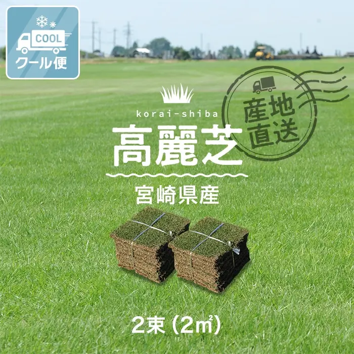 高麗芝宮崎県産