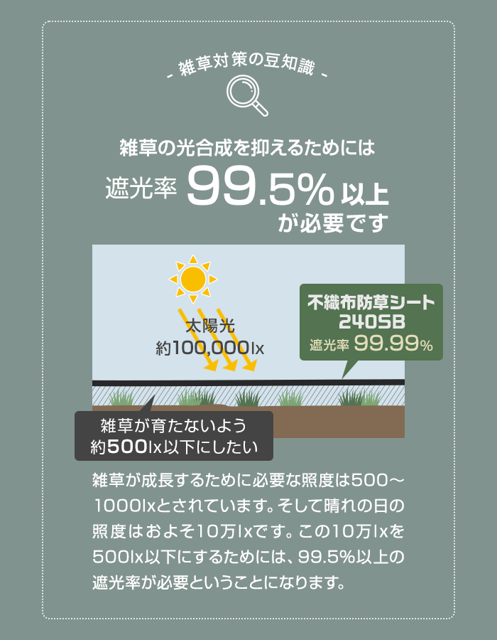 雑草対策の豆知識