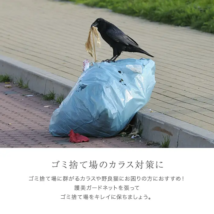 ゴミ捨て場のカラス対策に