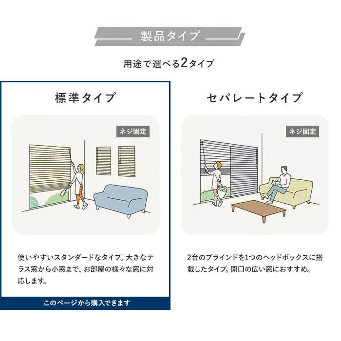 製品タイプ