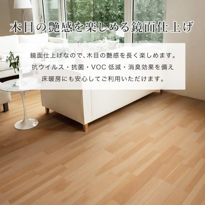 イクタ パワフルフロアーREO 鏡面仕上げ