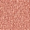 color chip