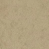 LYT84174