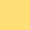 color chip
