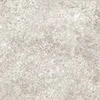 color chip