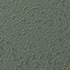 Y23-2917