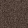 color chip