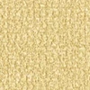 color chip