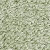 color chip