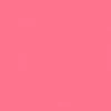 color chip