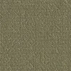 color chip