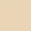 color chip