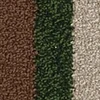 color chip