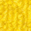 color chip