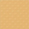 color chip