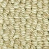 color chip