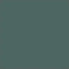 color chip