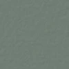 color chip