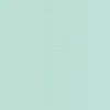 color chip