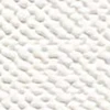 cs30-sp2571