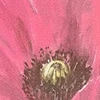BB2716