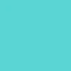 color chip