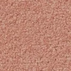 color chip