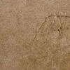 color chip