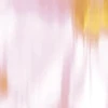 color chip