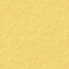 color chip