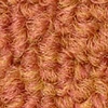 color chip
