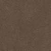 color chip