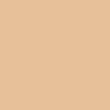 color chip
