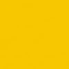 color chip