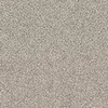 color chip