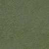 color chip