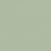 color chip