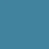 color chip
