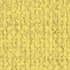 color chip