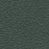 color chip