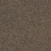color chip