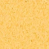 color chip