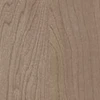 color chip