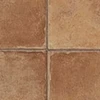 color chip