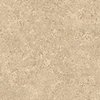 color chip