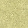 color chip