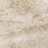 SBK8301
