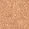 SEV8033