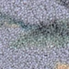 color chip