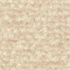 color chip